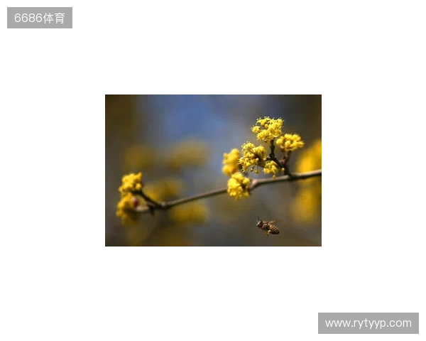 布达佩斯Major第一阶段：战舰轰鸣！FaZe 2-1 RED Canids